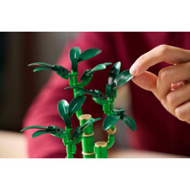 LEGO ICONS 10344 Dracena sandera