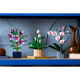 LEGO BOTANICALS 11504 Skrzydłokwiat