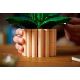 LEGO BOTANICALS 11504 Skrzydłokwiat
