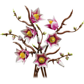 LEGO BOTANICALS 11510 Gałązki magnolii