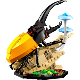 LEGO IDEAS 21342 Kolekcja owadów