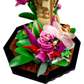 LEGO IDEAS 21342 Kolekcja owadów