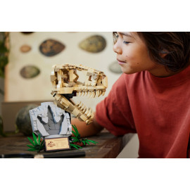 LEGO JURASSIC WORLD 76964 Szkielety dinozaurów — czaszka tyranozaura