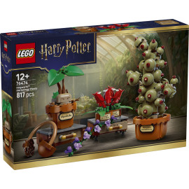 LEGO HARRY POTTER 76474 Rośliny z lekcji zielarstwa w Hogwarcie