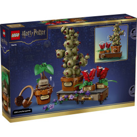 LEGO HARRY POTTER 76474 Rośliny z lekcji zielarstwa w Hogwarcie