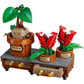 LEGO HARRY POTTER 76474 Rośliny z lekcji zielarstwa w Hogwarcie