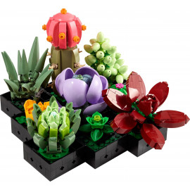 LEGO CREATOR EXPERT 10309 Sukulenty